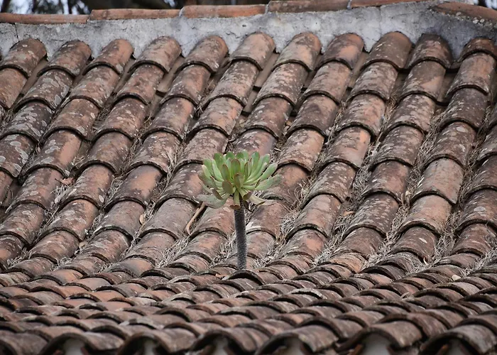 Castras, Paisaje Y Naturaleza *