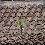 Castras, Paisaje Y Naturaleza *