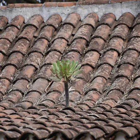 Castras, Paisaje Y Naturaleza *
